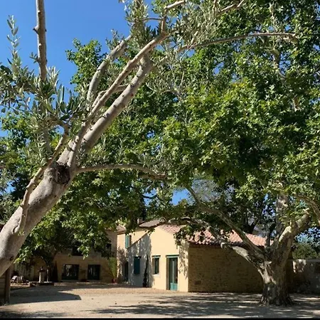 Domaine Arbaud Tatil Evi