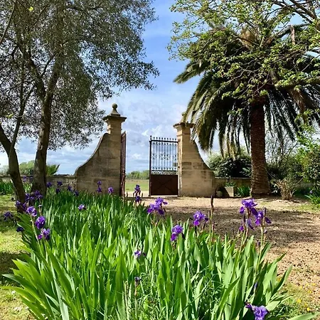 Domaine Arbaud Tatil Evi